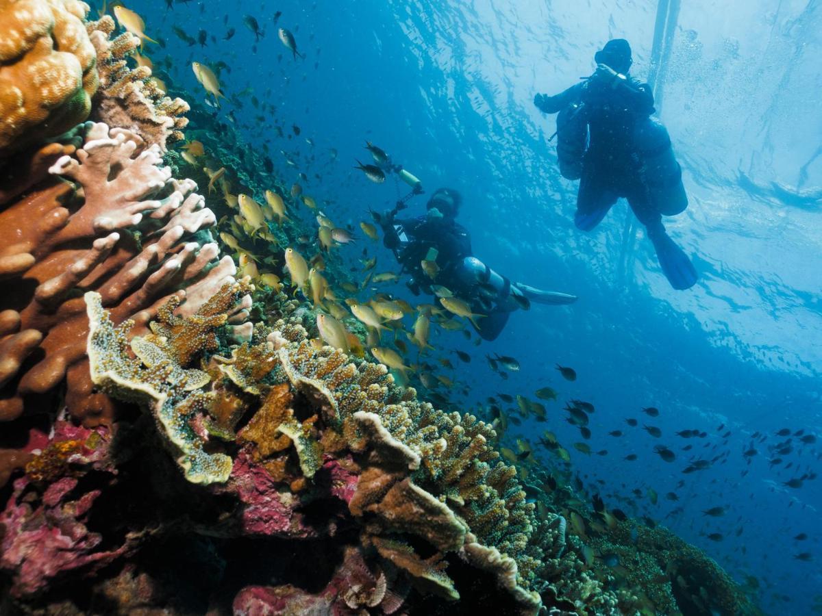 Cebu Seaview Dive Resort Moalboal Buitenkant foto